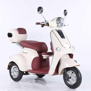 Electric Tricycle