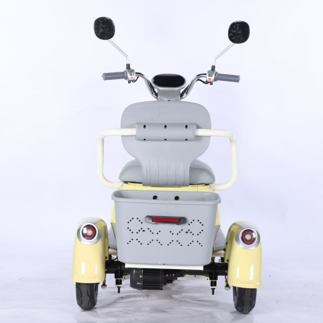 Electric Tricycle
