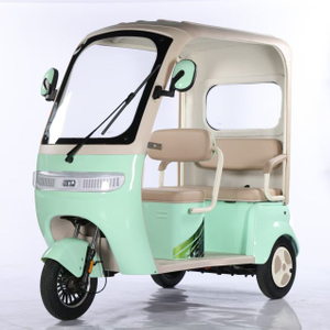 Electric Tricycle