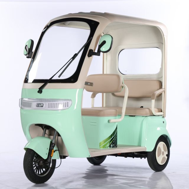 Electric Tricycle