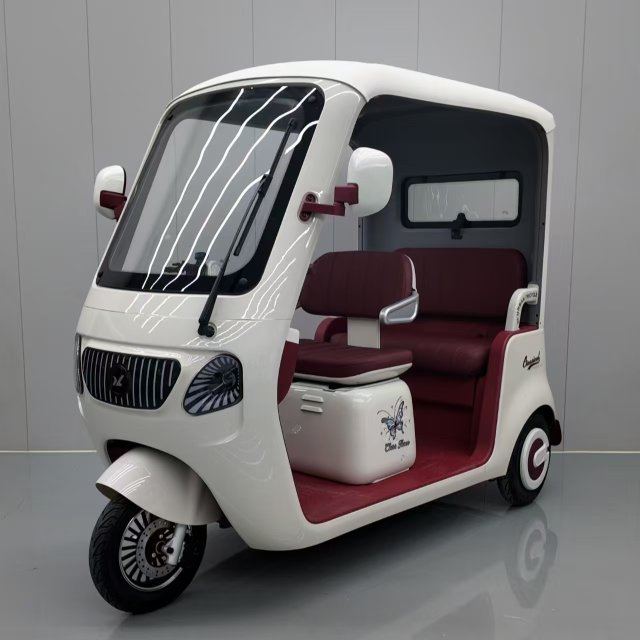 Wholesale Electric Tricycle Cheap Mini Car China Manufacture