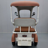Electric Tricycle