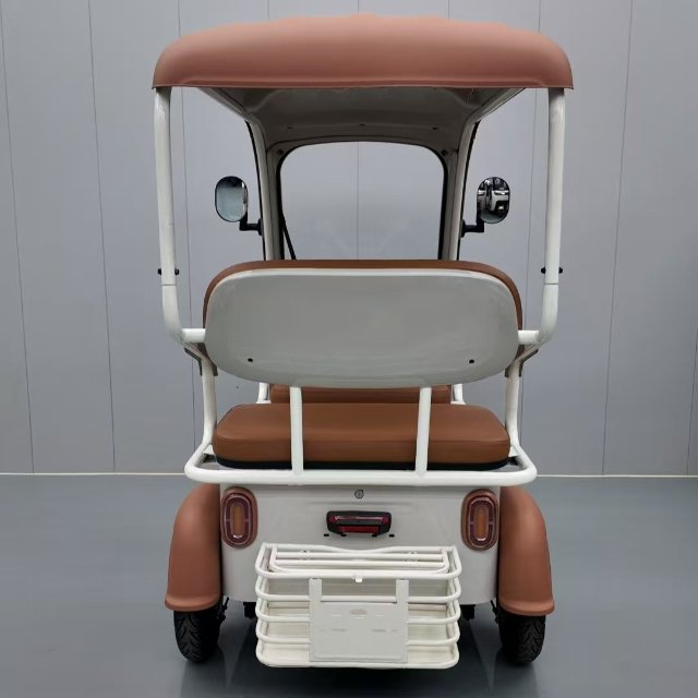 Electric Tricycle