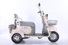 Electric Tricycle