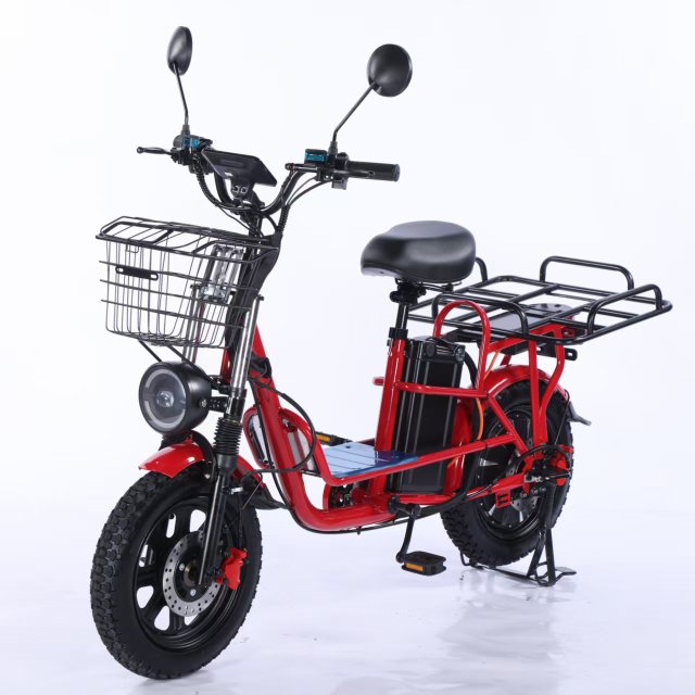 Electric Bicycle