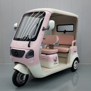 Wholesale Electric Tricycle Cheap Mini Car China Manufacture