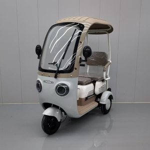 Electric Tricycle