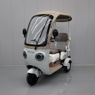 Electric Tricycle