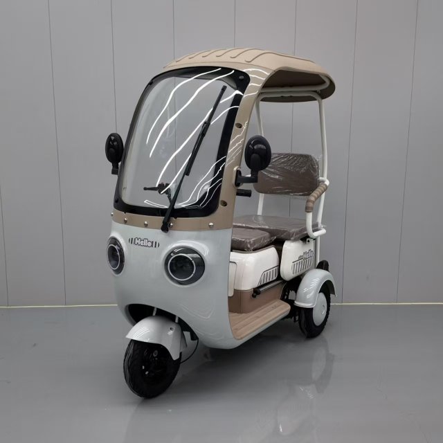 Electric Tricycle