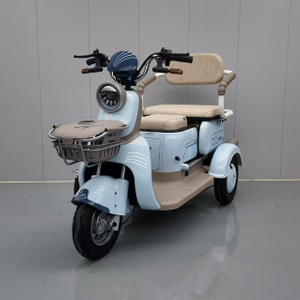 Electric Tricycle