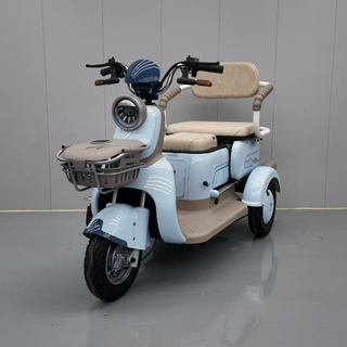Electric Tricycle