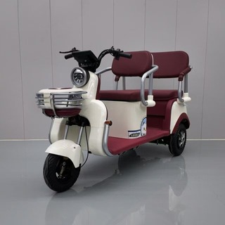 Electric Tricycle