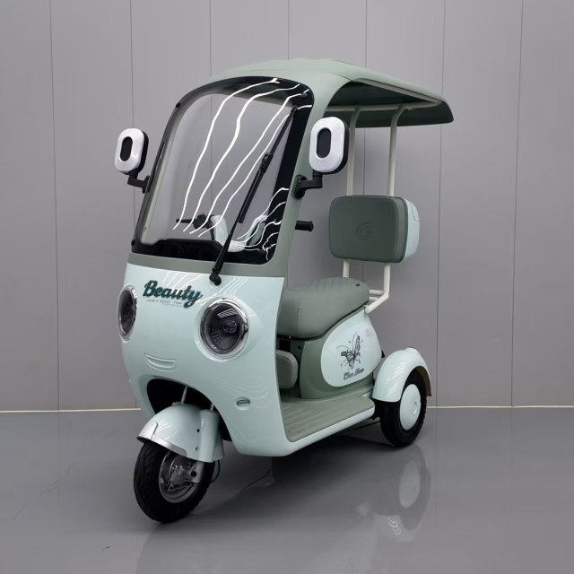 Electric Tricycle