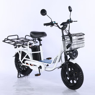 Electric Bicycle