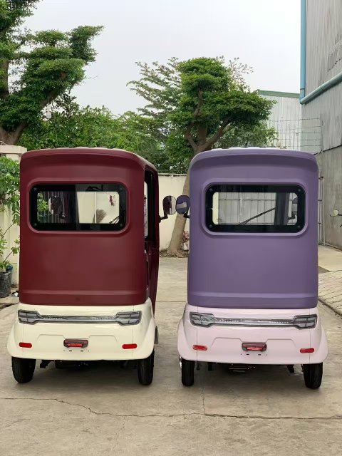 Electric Tricycle