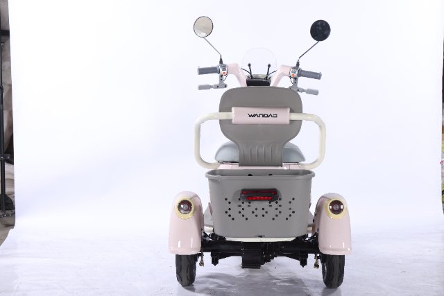 Electric Tricycle