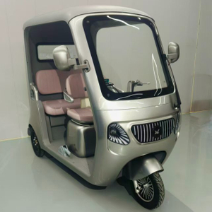 Electric Tricycle