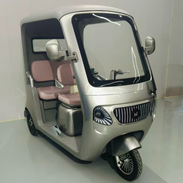 Electric Tricycle