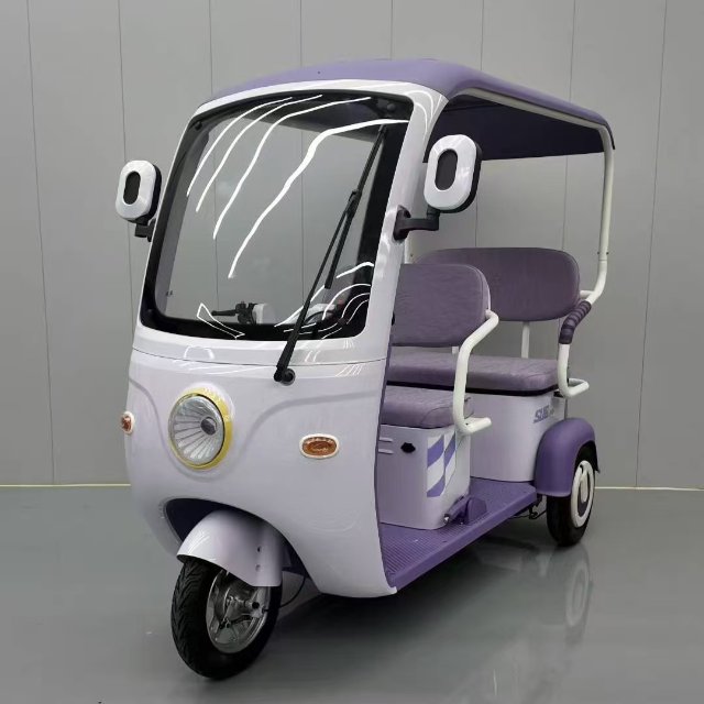 Electric Tricycle