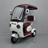 Electric Tricycle