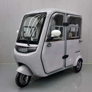 Electric Tricycle