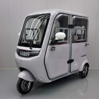 Electric Tricycle