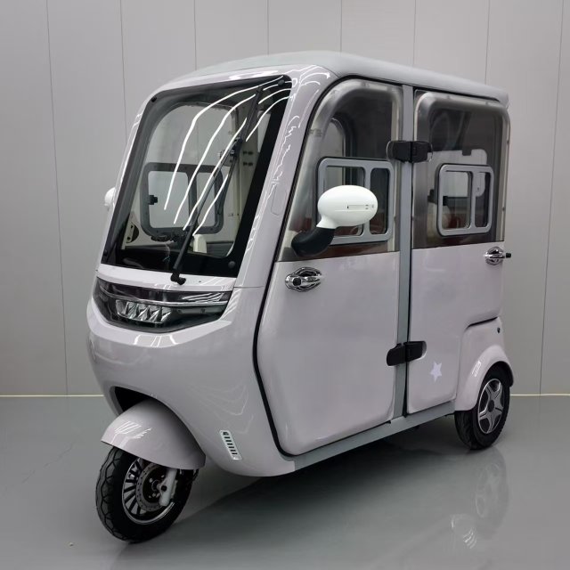 Electric Tricycle
