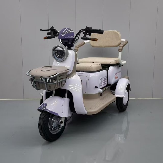 Electric Tricycle