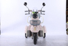 Electric Tricycle