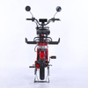 Electric Bicycle