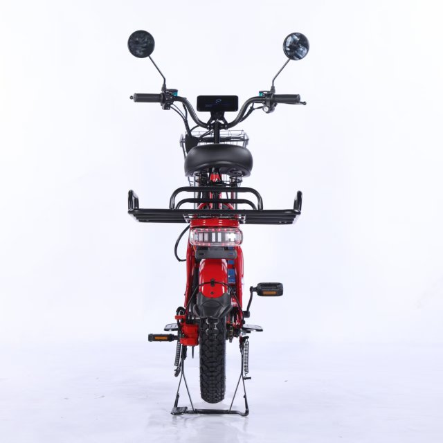 Electric Bicycle