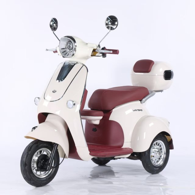 Electric Tricycle