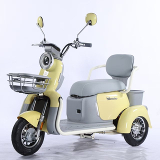 Electric Tricycle