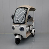 Electric Tricycle