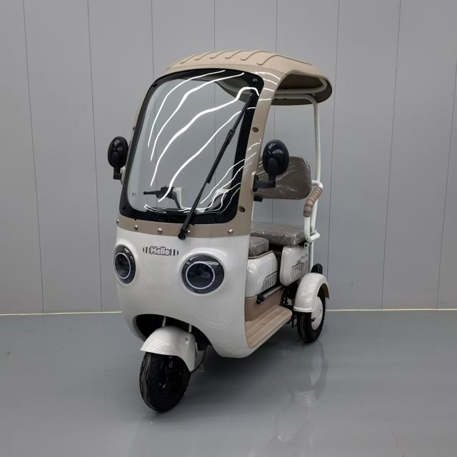 Electric Tricycle